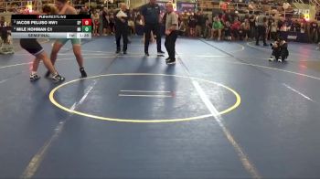 Semifinal - Jacob Peluso NW1, Anthony Wayne Biddy vs Mile Hohman C1, Pickerington Tigers