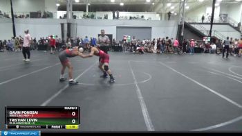 98 lbs Round 3 (6 Team) - Tristian Levin, PA Alliance Blue vs Gavin Pongsai, Wrestling Prep