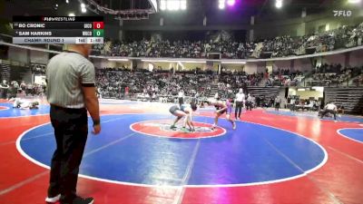 165-3A Champ. Round 1 - Bo Cronic, Gilmer County vs Sam Harkins, White County