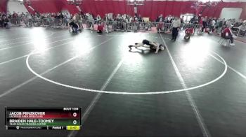 106 lbs Quarterfinal - Jacob Penzkover, LaCrosse Area Wrestlers vs Braiden Hale-Toomey, Team Nazar Training Center