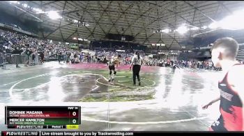 108 lbs Semifinal - Mercer Hamilton, Mat Demon Wrestling Club vs Dominik Magana, Victory Wrestling-Central WA
