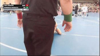 131 lbs Rr Rnd 6 - Tino Cerrone, Mat Assassins Black - MSE vs Domenico Petracca, CTWHALE Beluga - MSE