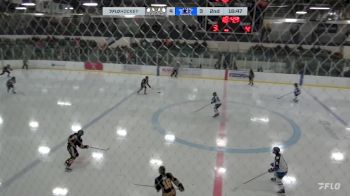 Replay: Home - 2024 Brandon U18 AAA vs Norman U18 AAA | Feb 10 @ 7 PM