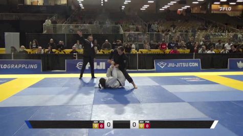 Thayane Lopes Ferreira vs Lillian Jane Marchand 2025 Pan Jiu Jitsu IBJJF Championship