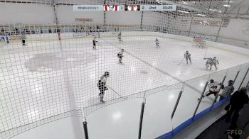 Replay: Home - 2024 Calgary Bisons vs SEAC Tigers | Mar 2 @ 5 PM