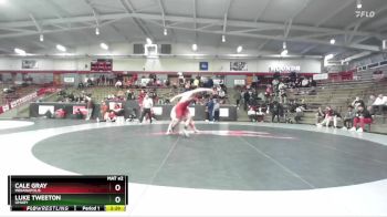 285 lbs 3rd Place Match - Cale Gray, Indianapolis vs Luke Tweeton, UMary