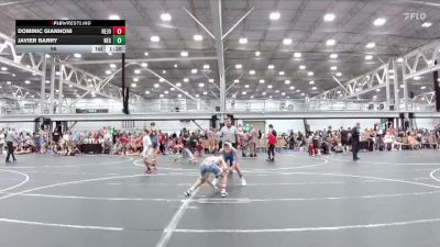 96 lbs Round 1 (8 Team) - Dominic Giannoni, Revival Jokers vs Javier Barry, New England Gold