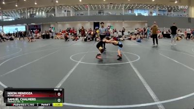 48 lbs Round 4 (6 Team) - Samuel Chalmers, Triangle WA vs Nixon Mendoza, Rough House