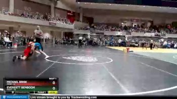 75 lbs Semis (4 Team) - Everertt Bemboom, Foley vs Michael Brisk, Pierz