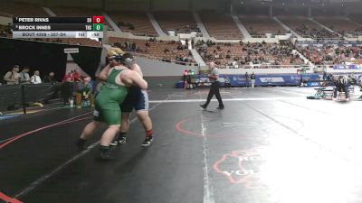 287-D4 Cons. Round 3 - Brock Innes, Thatcher High School vs Peter Rivas, Somerton High School