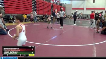 45 lbs Cons. Round 2 - Bryson Domingo, Fort Payne Youth Wrestling vs Asher Burrage, Brute Force Wrestling