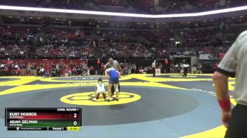 D1-106 lbs Cons. Round 1 - Adam Gelman, Sycamore vs Kurt Mokros, Olentangy