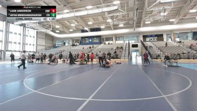 138 lbs Cons. Semis - Liam Anderson, 208 Spartans vs Aryan Mirmohamadsadeghi, ETC