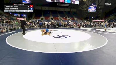 120 lbs Champ. Rd Of 64 - Anthony Valls, NY vs Gavin Harkrider, OK