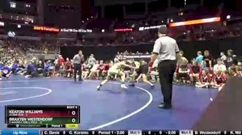 120 lbs Semis - Braxten Westendorf, 1-Waverly-Shell Rock vs Keaton Williams, 4-Linn-Mar