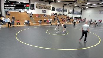 157 lbs 1st Place Match - Vinnie Abbey, Indiana Tech vs Luke Robards, Indianapolis
