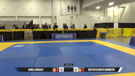 Kaytlyn Elizabeth Sandmeyer vs Auriell Gonzalez 2025 World IBJJF Jiu-Jitsu No-Gi Championship