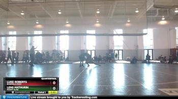 125 lbs Quarterfinal - Luke Roberts, Bluefield State vs Lens Mathurin, Mount Olive