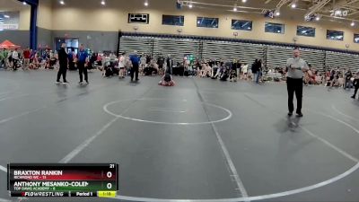 88 lbs Round 4 (8 Team) - Anthony Mesanko-Coleman, Top Dawg Academy vs Braxton Rankin, Richmond WC