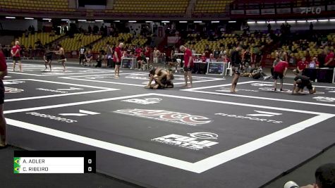 CLAUDIO RIBEIRO vs ALAN ADLER 2024 ADCC South American Trials 1