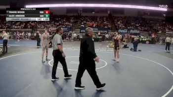 D 1 132 lbs Champ. Round 2 - Alex Amedee, East Ascension vs Travis Wood, Parkway