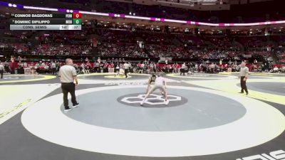 113 lbs Cons. Semis - Connor Bagdonas, Perrysburg vs Dominic Difilippo, Medina