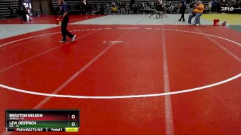 160 lbs Champ. Round 1 - Braxton Nelson, Waseca vs Levi Oestrich, GSL