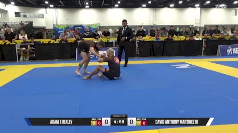 David Anthony Martinez III vs Adam J Healey 2025 World IBJJF Jiu-Jitsu No-Gi Championship