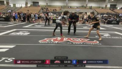 Michael vs Dominick 2026 ADCC Nashville Open