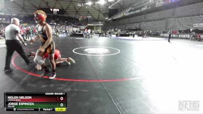 1A 132 lbs Champ. Round 1 - Jorge Espinoza, Zillah vs Nolen Nelson, Castle Rock