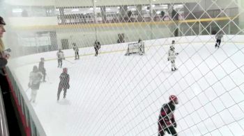 Replay: Home - 2025 Cyclones U15 vs Avalanche 2 U15 | Feb 2 @ 12 PM