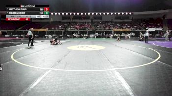 133 lbs Semifinal - Matthew Ellis, Thomas More vs Aidan Medina, Tarleton State