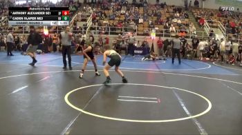 110 lbs Champ. Round 2 - Anthony Alexander SE1, Martins Ferry vs Caden Slaper NE3, Lake Catholic