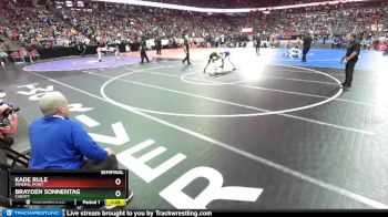 D3-132 lbs Semifinal - Brayden Sonnentag, Cadott vs Kade Rule, Mineral Point