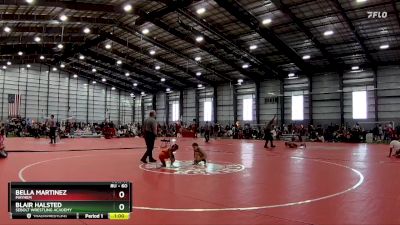 60 lbs Round 3 - Bella Martinez, Mayhem vs Blair Halsted, Sebolt Wrestling Academy