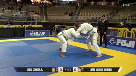Jered Michael Wayland vs Jesus Cornier Jr. 2025 Pan Jiu Jitsu IBJJF Championship