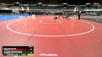 190 lbs Finals (2 Team) - Callen Taylor, Grafton vs Dominic Semendinger, Eastern View