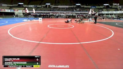 190 lbs Finals (2 Team) - Callen Taylor, Grafton vs Dominic Semendinger, Eastern View