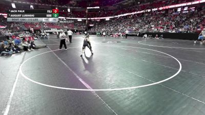 113 lbs 3rd Place Match - August Lubinski, West Bend West/East vs Jack Falk, Pulaski