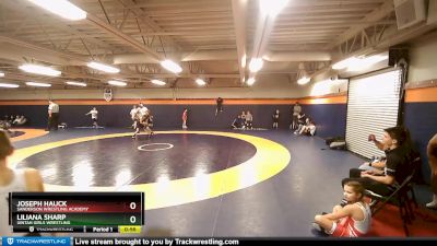 61-65 lbs Round 3 - Liliana Sharp, Uintah Girls Wrestling vs Joseph Hauck, Sanderson Wrestling Academy