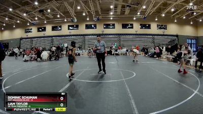 80 lbs Round 3 (4 Team) - Dominic Schuman, Mat Assassins Black vs Liam Taylor, VA Team Predator