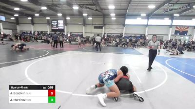 156 lbs Quarterfinal - Jacob Goodwin, BlackCat WC vs Jaime Martinez, Yotes WC