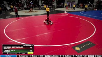 126 lbs Cons. Round 3 - Kameren Bettencourt, Homestead vs Charlie Palm, Minnetonka