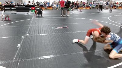 115 lbs Round 1 - Liam Maguire, Carolina Reapers vs Brody Davis, Ironclad Wrestling