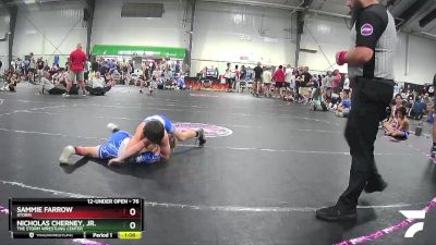 76 lbs Round 3 - Sammie Farrow, Storm vs Nicholas Cherney, Jr., The Storm Wrestling Center