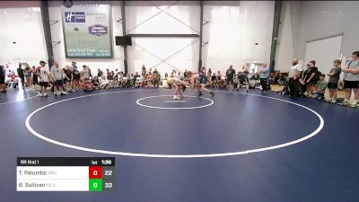 195 lbs Rr Rnd 1 - Tyler Palumbo, Triumph Blue vs Brock Sullivan, NC United