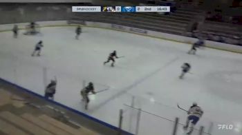 Replay: Home - 2025 Cougars vs Sabres | Feb 23 @ 2 PM