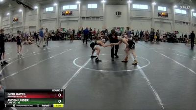 84 lbs Round 6 (10 Team) - Gino Hayes, Brawler Elite vs Ayden Unger, Lake WC