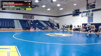 125 lbs Semis & 1st Wrestleback (8 Team) - Tyson Wilson, Rochester Community & Tech. College vs Trevon Oehme, Southeast Community College