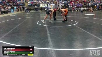 1 - 113 lbs Semifinal - Cole Dipietro, Holston vs Caleb Gibson, Rural Retreat